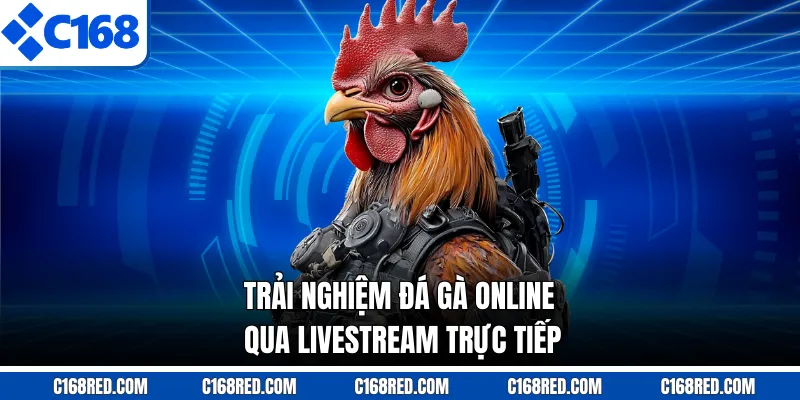 Trải nghiệm đá gà online qua livestream trực tiếp